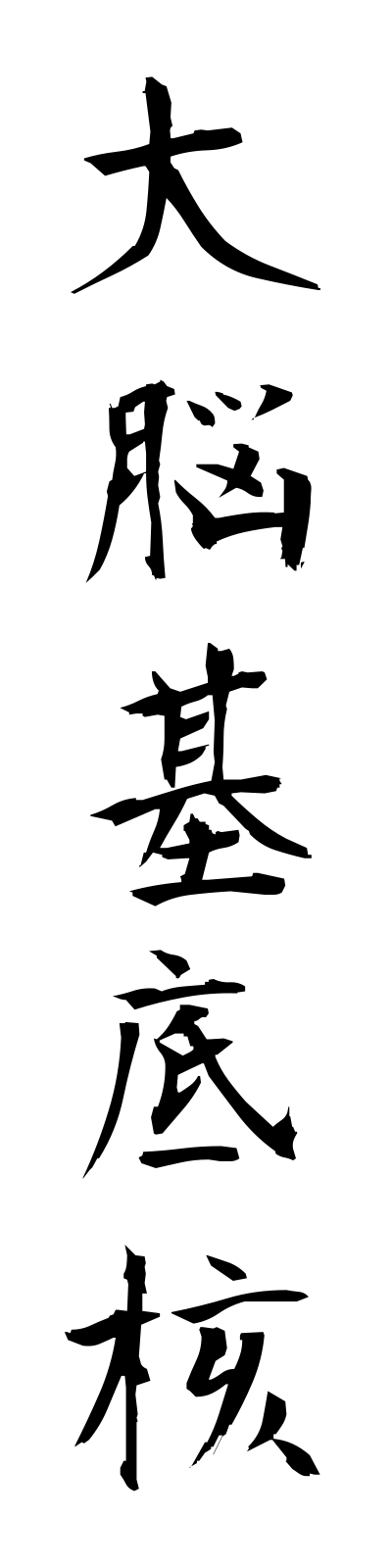 t1/t10080大脳基底核dainokiteikaku