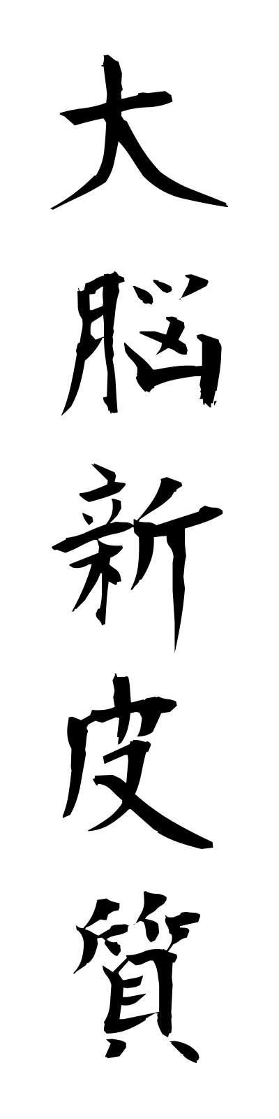 t1/t10081大脳新皮質dainoshinhishitsu