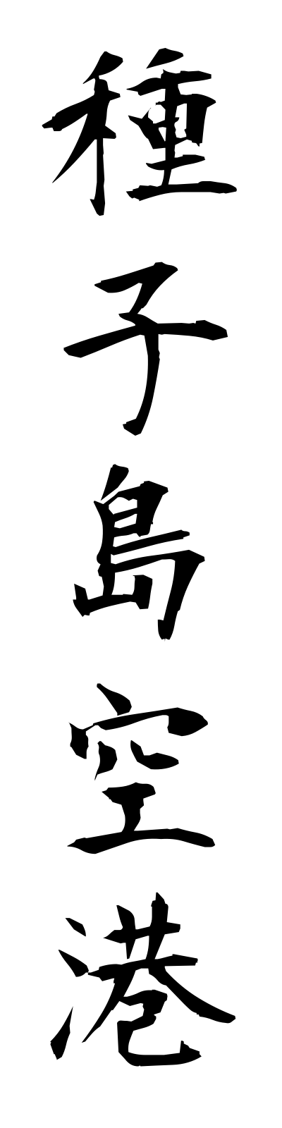 t1/t10162種子島空港tanegashimakuko