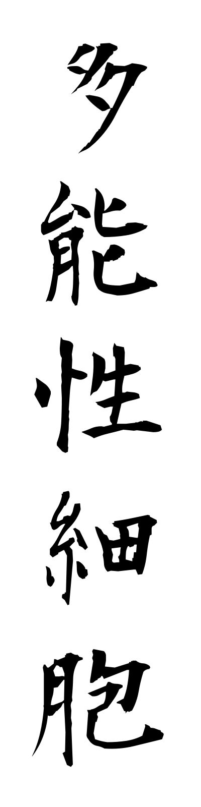 t1/t10165多能性細胞tanoseisaibo
