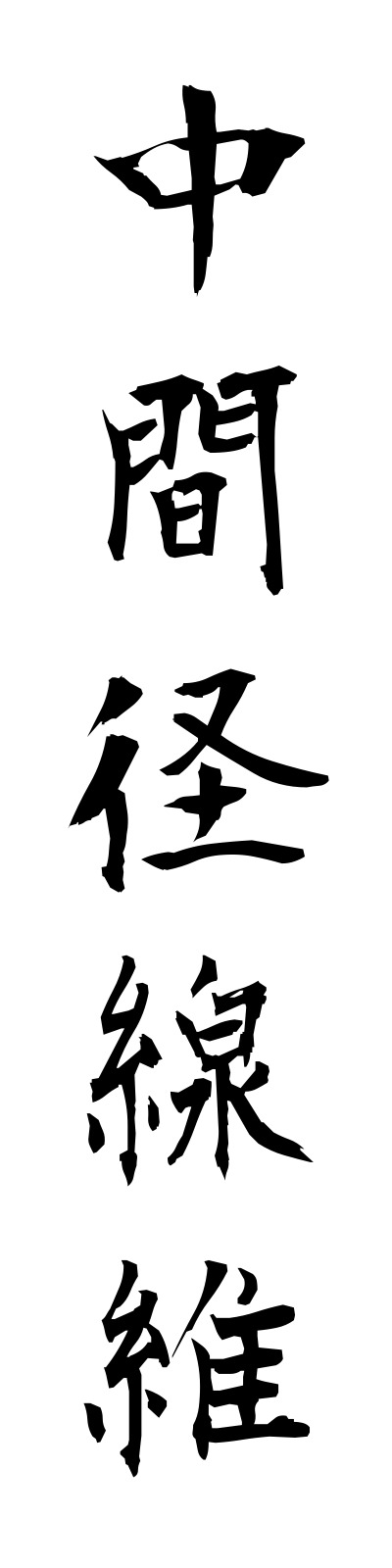 t2/t20078中間径線維chukankeiseni