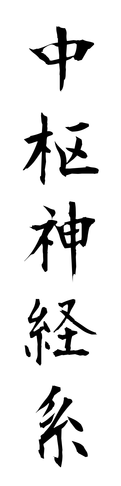 t2/t20094中枢神経系chusushinkeikei