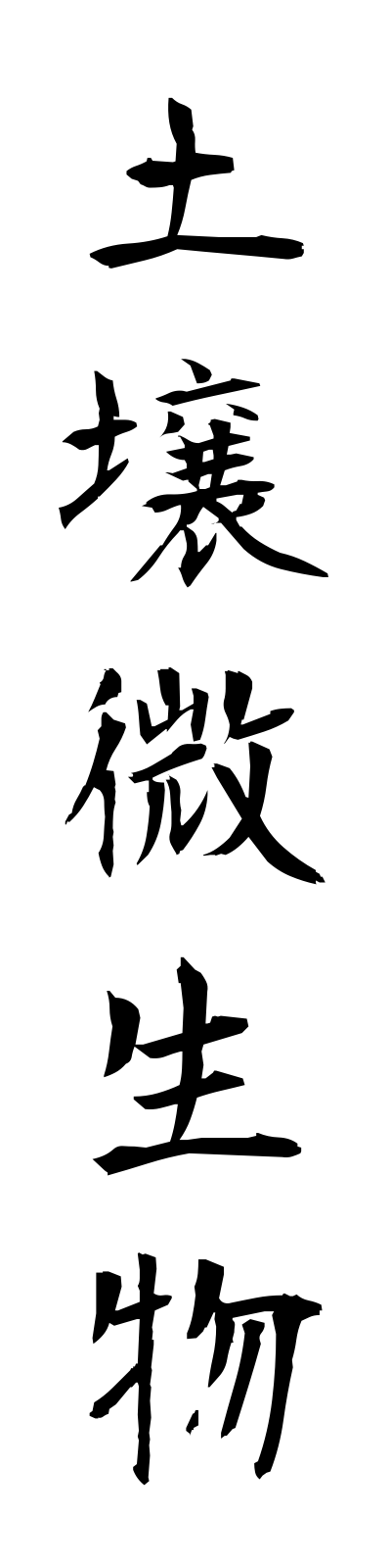 t5/t50163土壌微生物dojobiseibutsu